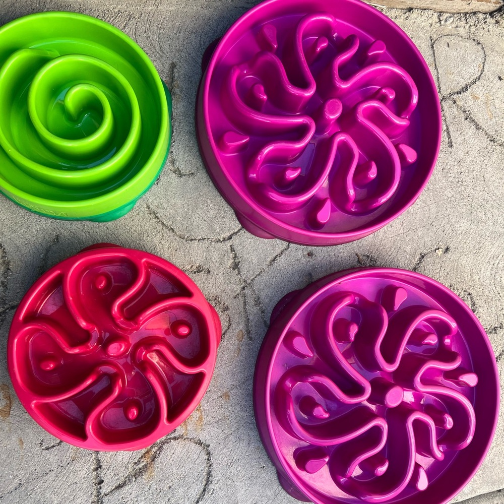 Like new dog bowl